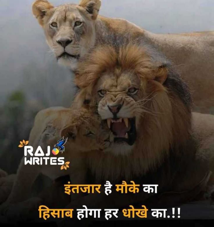 boys attitude shayari, attitude shayari in hindi, hindi attitude shayari images, boys attitude shayari images, attitude shayari photos, attitude shayari pics, royal attitude shayari, killer shayari for boys, swag attitude shayari, latest attitude shayari