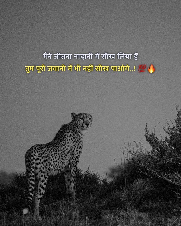 gangster attitude shayari, gangster shayari in hindi, attitude gangster shayari images, gangster shayari photos, gangster shayari pics, boys gangster attitude shayari, royal gangster shayari, killer gangster shayari, bad boy gangster shayari, hindi gangster shayari