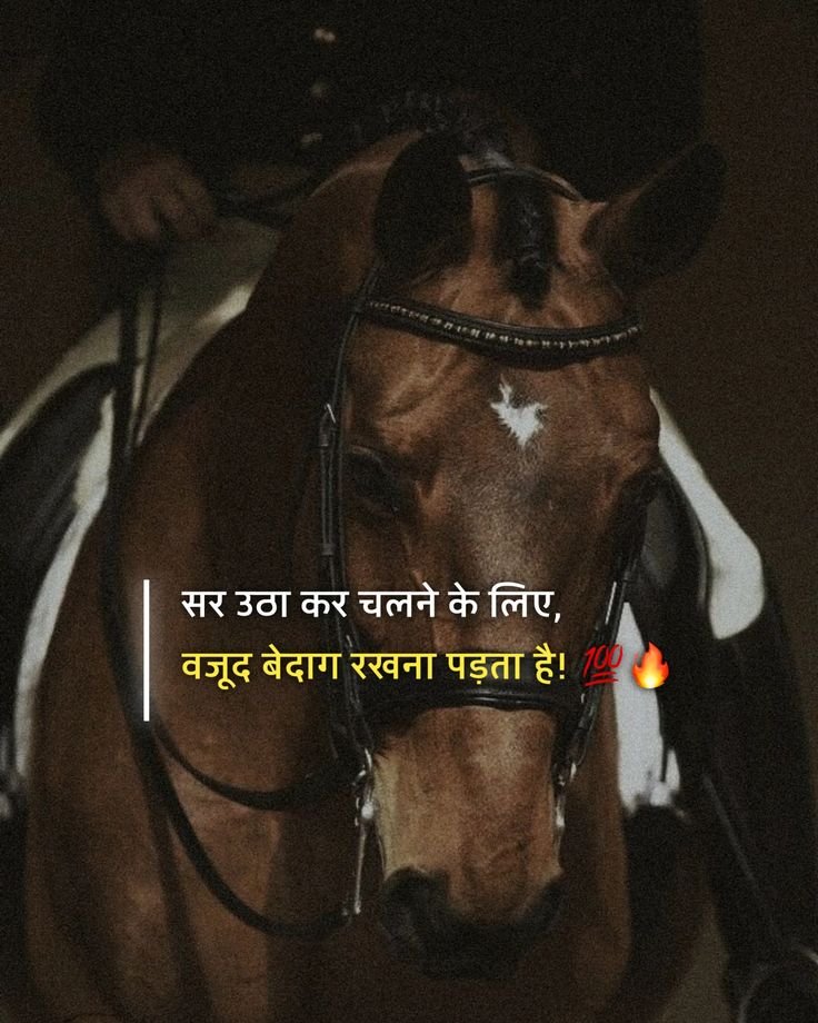 gangster attitude shayari, gangster shayari in hindi, attitude gangster shayari images, gangster shayari photos, gangster shayari pics, boys gangster attitude shayari, royal gangster shayari, killer gangster shayari, bad boy gangster shayari, hindi gangster shayari