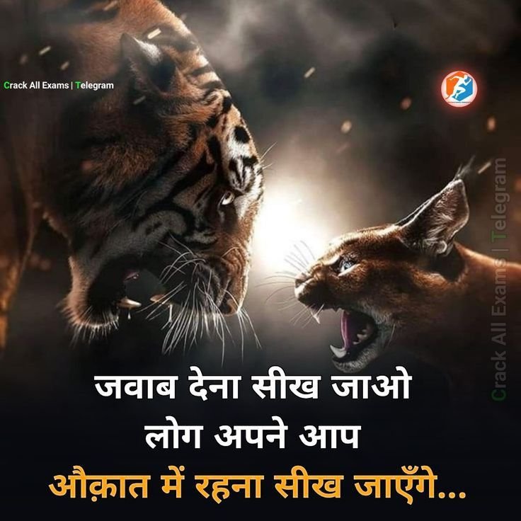 gangster attitude shayari, gangster shayari in hindi, attitude gangster shayari images, gangster shayari photos, gangster shayari pics, boys gangster attitude shayari, royal gangster shayari, killer gangster shayari, bad boy gangster shayari, hindi gangster shayari