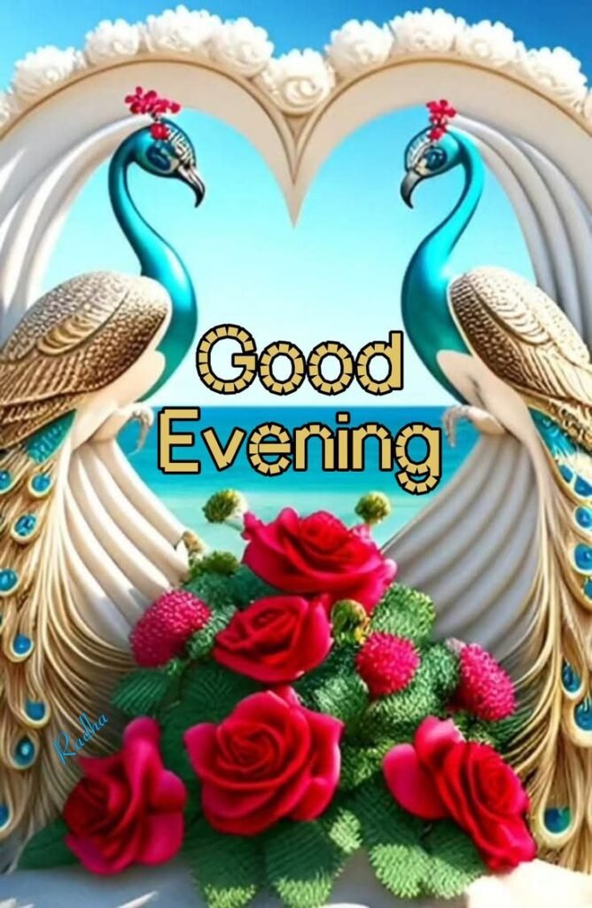 399+] Good Evening Images Quotes Picture Photos Pic