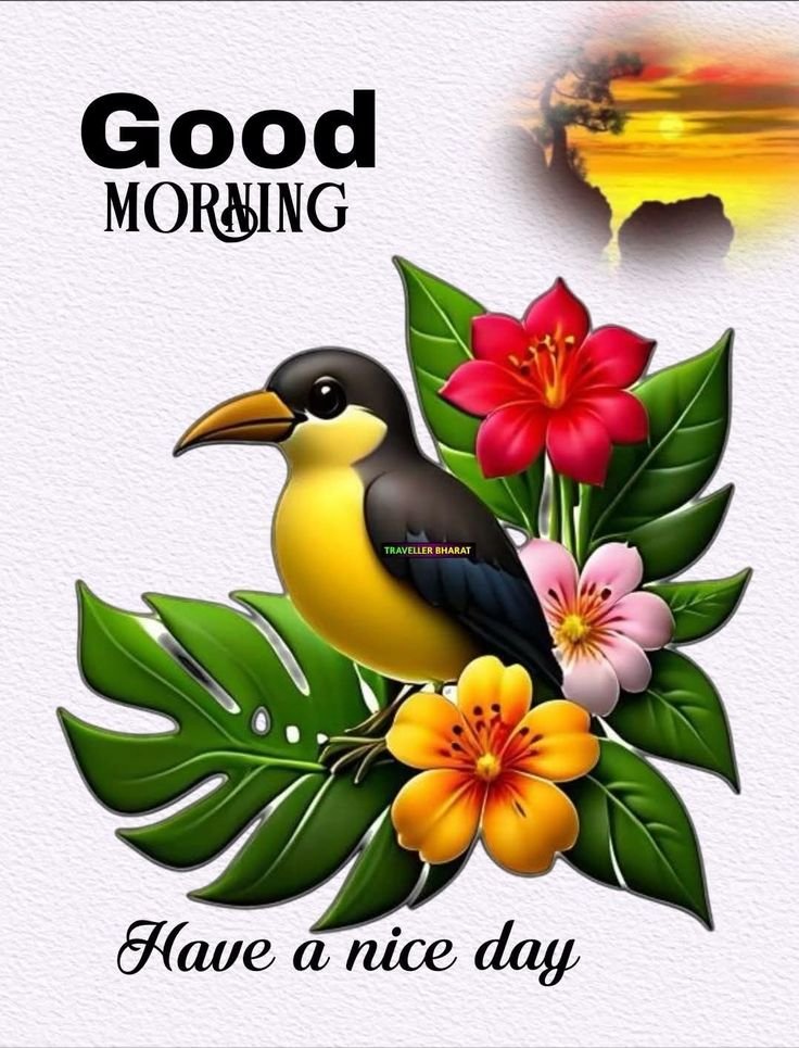 flower good morning images, beautiful good morning flowers, good morning flower photos, flower good morning pics, fresh flower good morning images, good morning wallpaper flowers, morning flower images, good morning rose images, good morning flower pictures, flower morning wishes