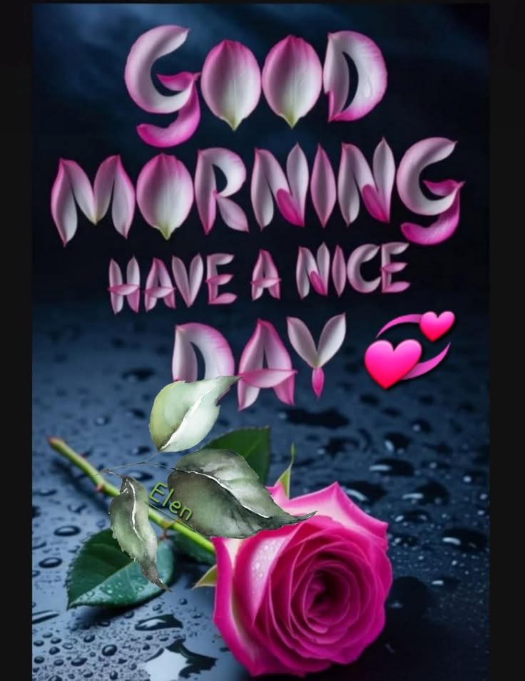 radiant good morning images, bright good morning photos, positive good morning images, fresh morning wallpapers, peaceful good morning pics, good morning nature images, sunrise good morning pictures, beautiful morning photos, good morning light images, daily morning wishes images