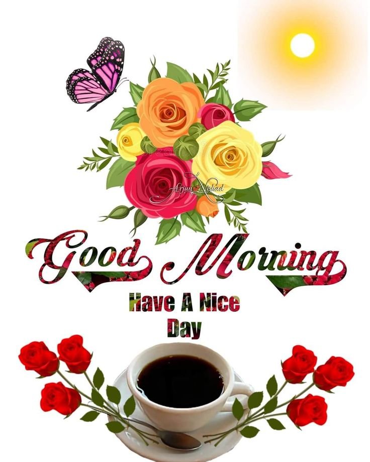 flower good morning images, beautiful good morning flowers, good morning flower photos, flower good morning pics, fresh flower good morning images, good morning wallpaper flowers, morning flower images, good morning rose images, good morning flower pictures, flower morning wishes