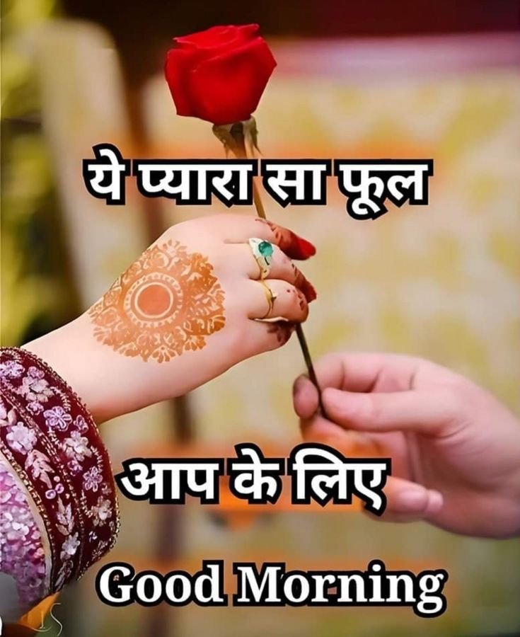 good morning images, good morning dp, good morning pictures, good morning photos, good morning pics, good morning wallpapers, morning dp images, beautiful good morning images, good morning wishes images, hd good morning wallpapers