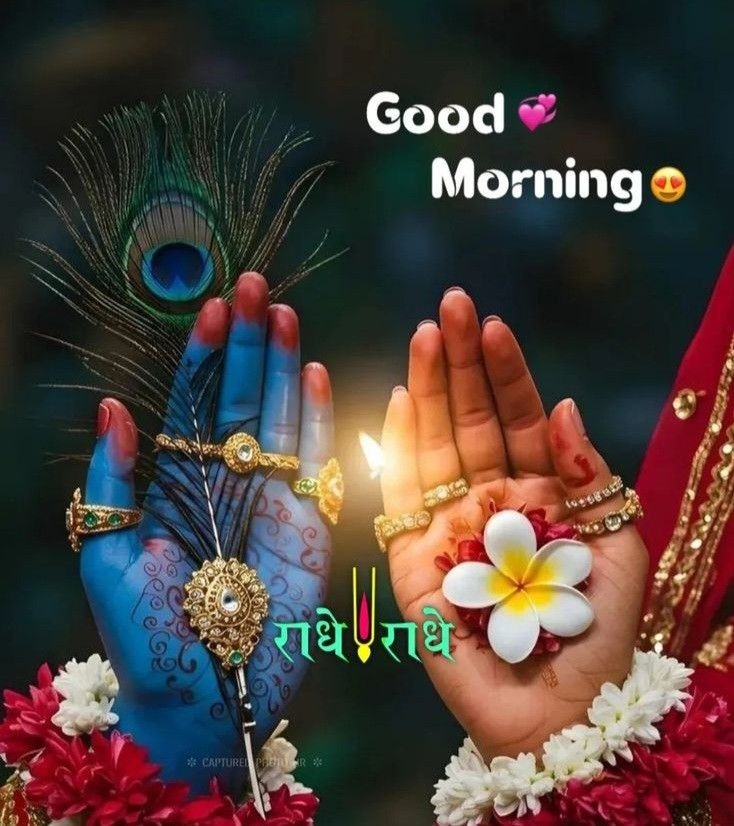 good morning images, good morning dp, good morning pictures, good morning photos, good morning pics, good morning wallpapers, morning dp images, beautiful good morning images, good morning wishes images, hd good morning wallpapers