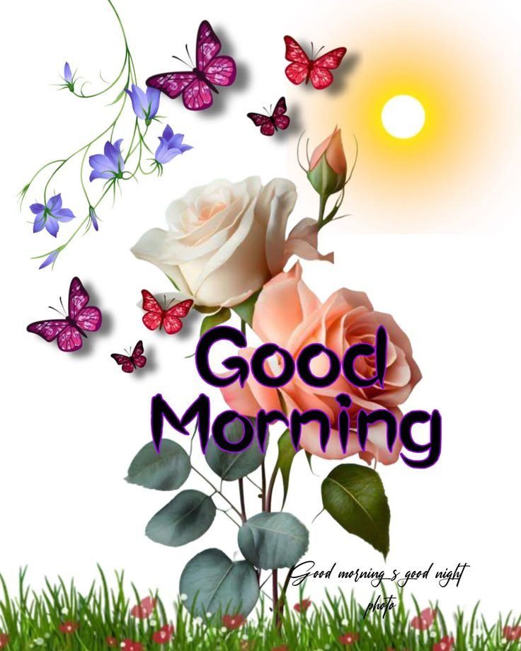 flower good morning images, beautiful good morning flowers, good morning flower photos, flower good morning pics, fresh flower good morning images, good morning wallpaper flowers, morning flower images, good morning rose images, good morning flower pictures, flower morning wishes