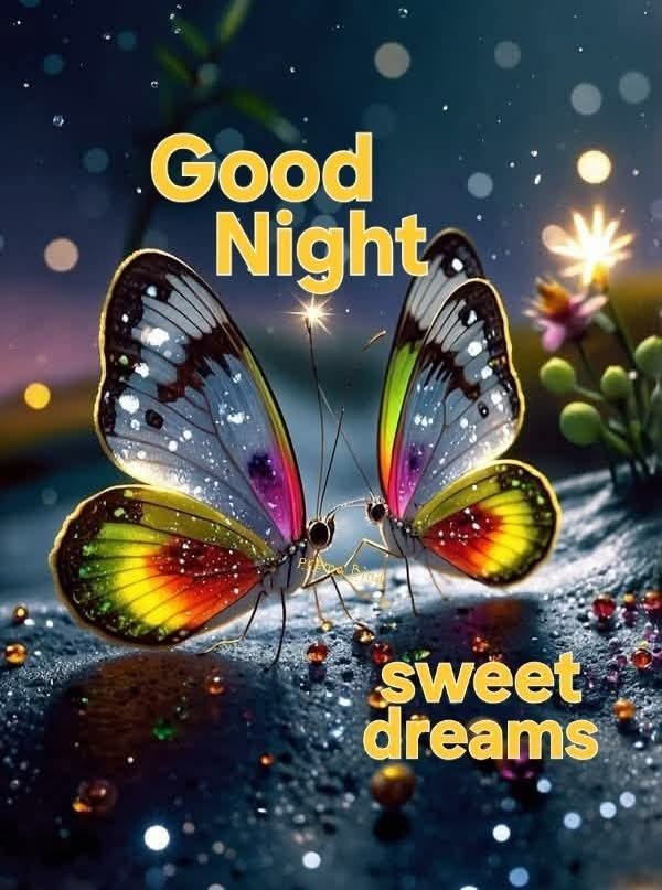 beautiful good night images, good night photos, good night pics, good night picture, good night dp, good night wallpapers, night images hd, cute good night images, romantic good night images, good night wishes images