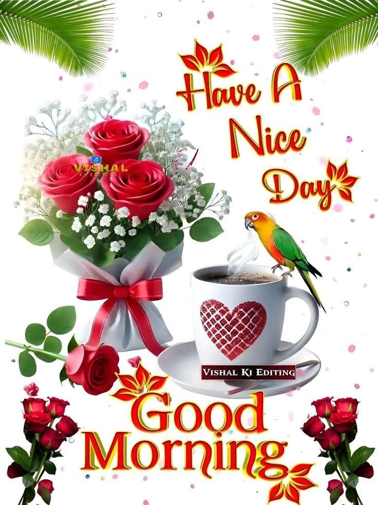 good morning garden flowers, garden flower good morning, good morning garden flower images, garden flower pictures, good morning flower images, garden flower wallpapers, beautiful good morning flowers, garden flower photos, morning flower pics, good morning nature images