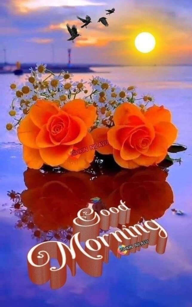 flower good morning images, beautiful good morning flowers, good morning flower photos, flower good morning pics, fresh flower good morning images, good morning wallpaper flowers, morning flower images, good morning rose images, good morning flower pictures, flower morning wishes
