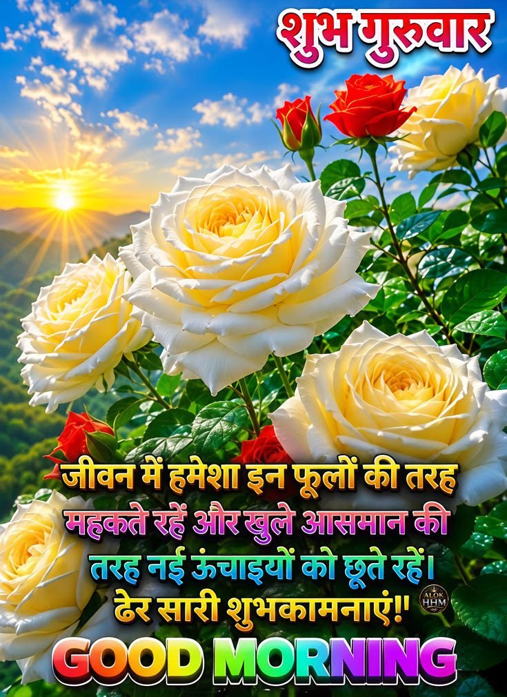 good morning images, good morning dp, good morning pictures, good morning photos, good morning pics, good morning wallpapers, morning dp images, beautiful good morning images, good morning wishes images, hd good morning wallpapers