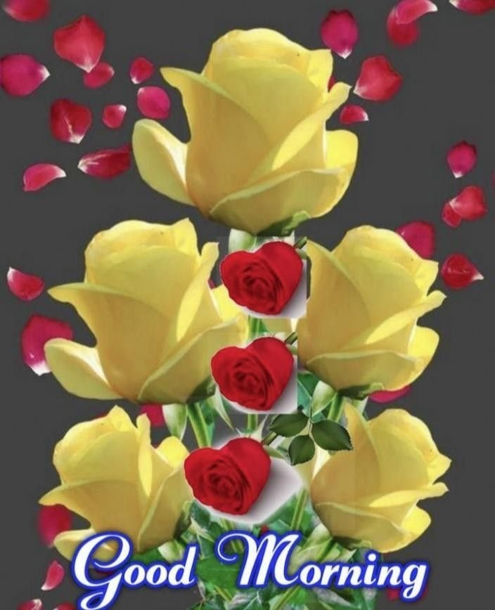 flower good morning images, beautiful good morning flowers, good morning flower photos, flower good morning pics, fresh flower good morning images, good morning wallpaper flowers, morning flower images, good morning rose images, good morning flower pictures, flower morning wishes