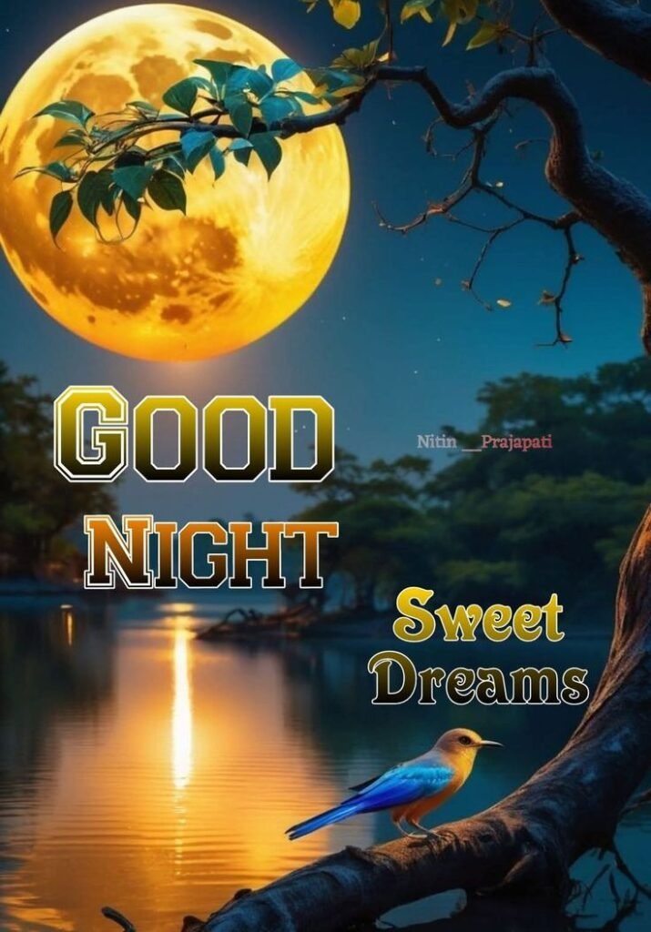 beautiful good night images, good night photos, good night pics, good night picture, good night dp, good night wallpapers, night images hd, cute good night images, romantic good night images, good night wishes images
