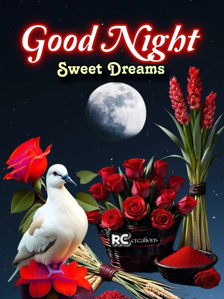 sweet good night images, good night gifs, sweet good night gifs, animated good night images, good night wishes images, good night photos, good night pictures, good night wallpapers, good night gif images, good night dp