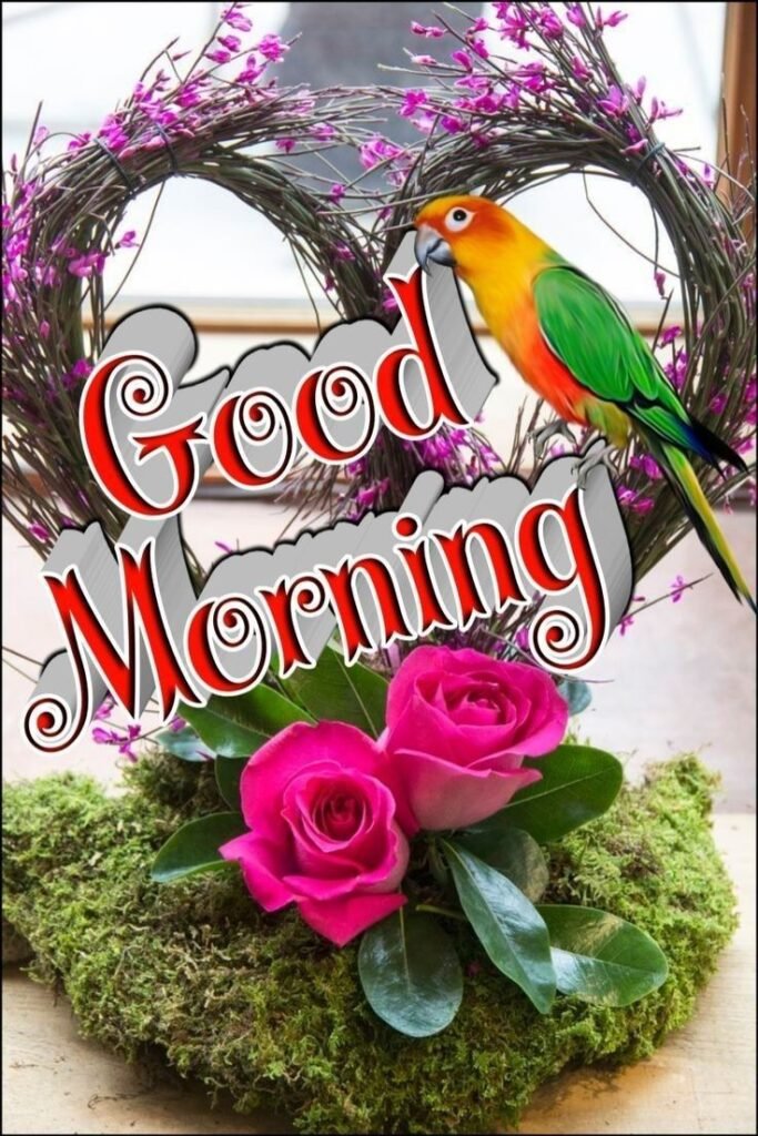 flower good morning images, beautiful good morning flowers, good morning flower photos, flower good morning pics, fresh flower good morning images, good morning wallpaper flowers, morning flower images, good morning rose images, good morning flower pictures, flower morning wishes