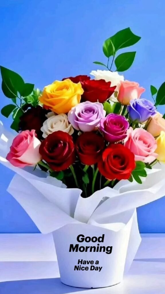 flower good morning images, beautiful good morning flowers, good morning flower photos, flower good morning pics, fresh flower good morning images, good morning wallpaper flowers, morning flower images, good morning rose images, good morning flower pictures, flower morning wishes