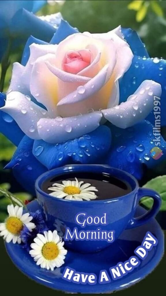 flower good morning images, beautiful good morning flowers, good morning flower photos, flower good morning pics, fresh flower good morning images, good morning wallpaper flowers, morning flower images, good morning rose images, good morning flower pictures, flower morning wishes