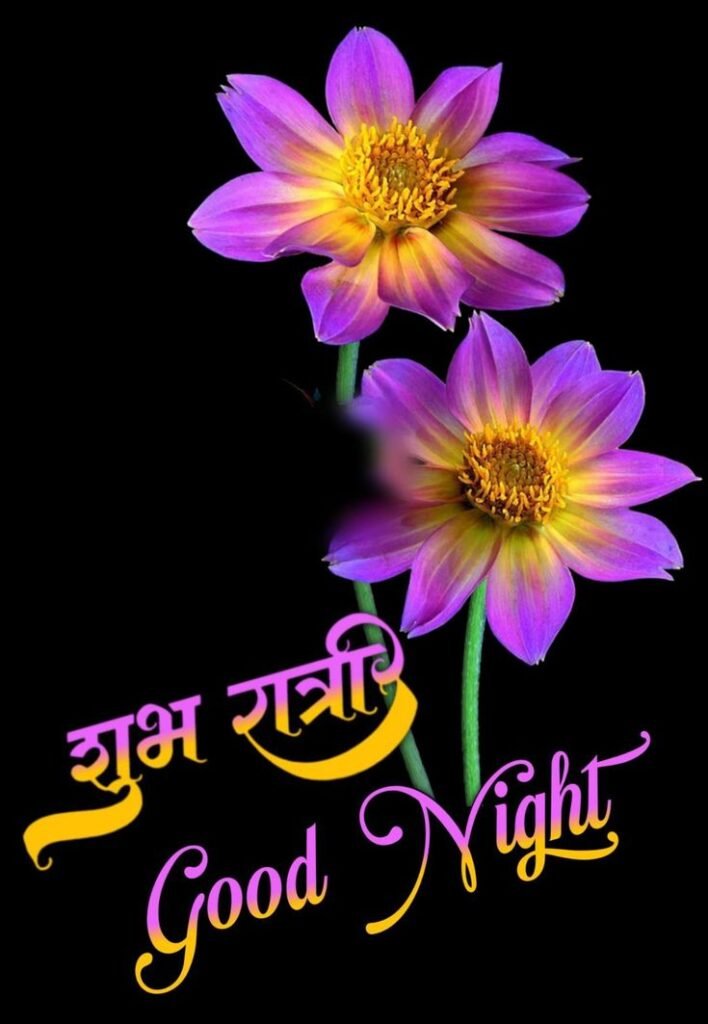 beautiful good night images, good night photos, good night pics, good night picture, good night dp, good night wallpapers, night images hd, cute good night images, romantic good night images, good night wishes images