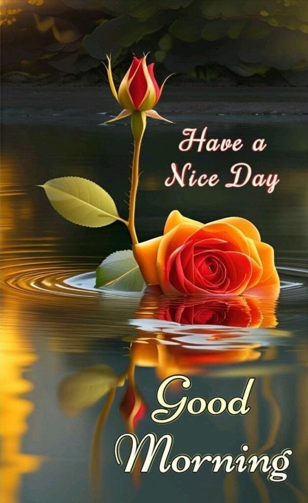 flower good morning images, beautiful good morning flowers, good morning flower photos, flower good morning pics, fresh flower good morning images, good morning wallpaper flowers, morning flower images, good morning rose images, good morning flower pictures, flower morning wishes