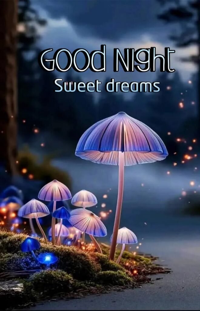 beautiful good night images, good night photos, good night pics, good night picture, good night dp, good night wallpapers, night images hd, cute good night images, romantic good night images, good night wishes images