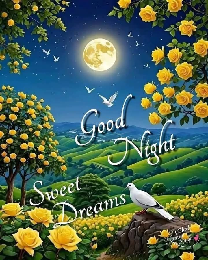 beautiful good night images, good night photos, good night pics, good night wallpapers, peaceful good night images, romantic good night pictures, cute good night images, night wishes photos, good night hd wallpapers, sweet good night images