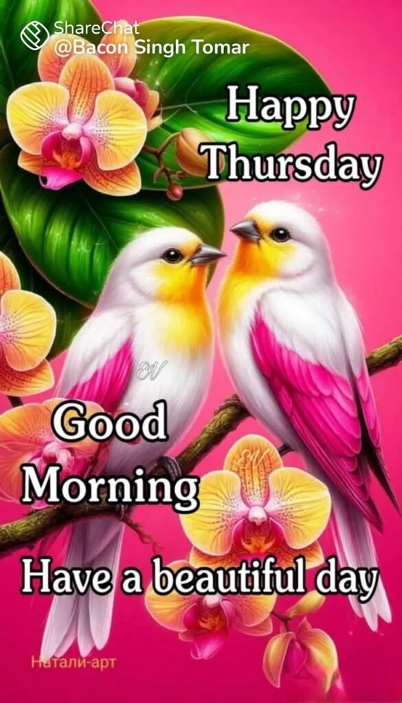 flower good morning images, beautiful good morning flowers, good morning flower photos, flower good morning pics, fresh flower good morning images, good morning wallpaper flowers, morning flower images, good morning rose images, good morning flower pictures, flower morning wishes