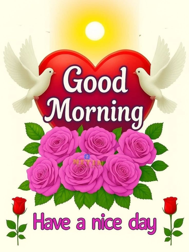 flower good morning images, beautiful good morning flowers, good morning flower photos, flower good morning pics, fresh flower good morning images, good morning wallpaper flowers, morning flower images, good morning rose images, good morning flower pictures, flower morning wishes