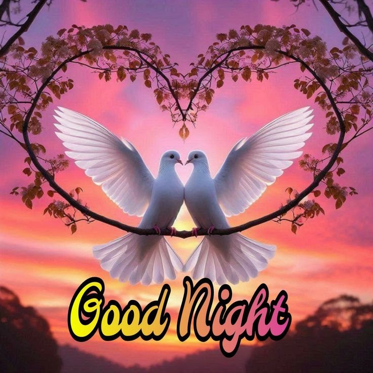 beautiful good night images, good night photos, good night pics, good night wallpapers, peaceful good night images, romantic good night pictures, cute good night images, night wishes photos, good night hd wallpapers, sweet good night images