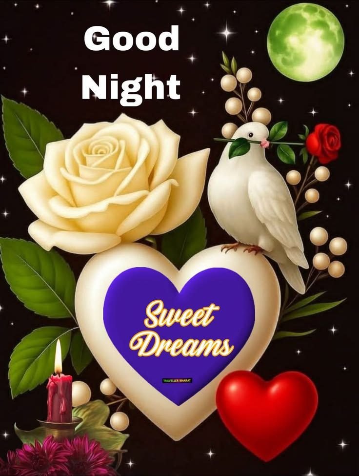 beautiful good night images, good night photos, good night pics, good night picture, good night dp, good night wallpapers, night images hd, cute good night images, romantic good night images, good night wishes images
