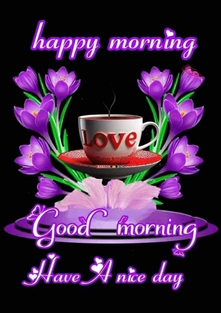 flower good morning images, beautiful good morning flowers, good morning flower photos, flower good morning pics, fresh flower good morning images, good morning wallpaper flowers, morning flower images, good morning rose images, good morning flower pictures, flower morning wishes