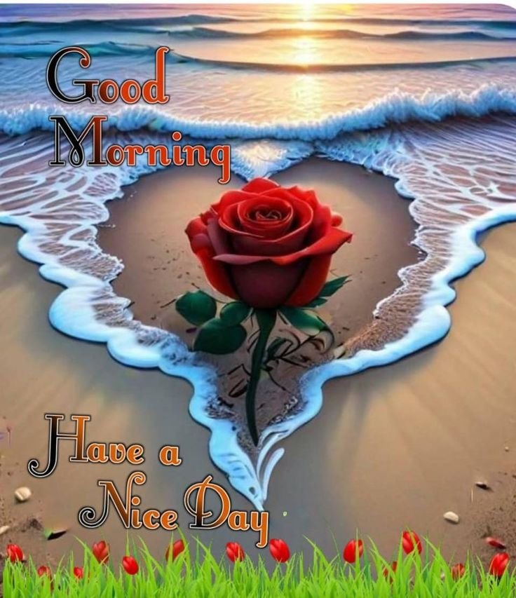 flower good morning images, beautiful good morning flowers, good morning flower photos, flower good morning pics, fresh flower good morning images, good morning wallpaper flowers, morning flower images, good morning rose images, good morning flower pictures, flower morning wishes