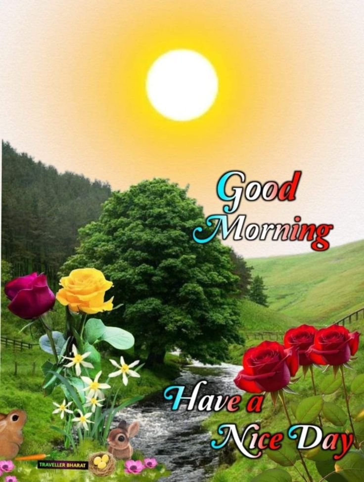 flower good morning images, beautiful good morning flowers, good morning flower photos, flower good morning pics, fresh flower good morning images, good morning wallpaper flowers, morning flower images, good morning rose images, good morning flower pictures, flower morning wishes