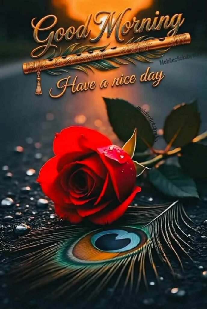 flower good morning images, beautiful good morning flowers, good morning flower photos, flower good morning pics, fresh flower good morning images, good morning wallpaper flowers, morning flower images, good morning rose images, good morning flower pictures, flower morning wishes