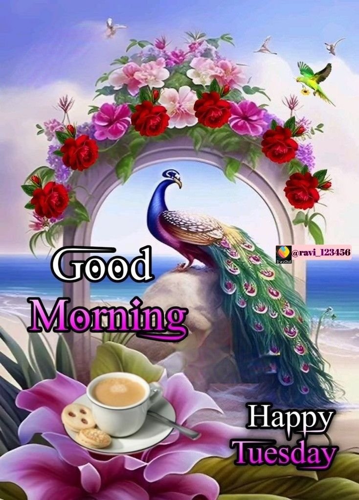 flower good morning images, beautiful good morning flowers, good morning flower photos, flower good morning pics, fresh flower good morning images, good morning wallpaper flowers, morning flower images, good morning rose images, good morning flower pictures, flower morning wishes