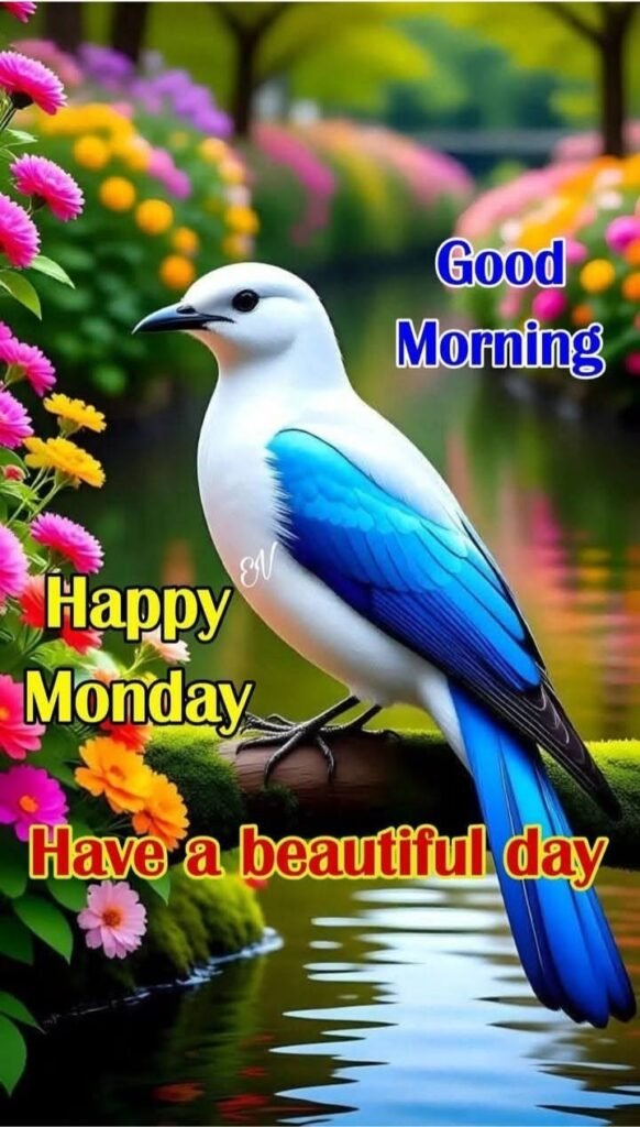 good morning images, good morning dp, good morning pictures, good morning photos, good morning pics, good morning wallpapers, morning dp images, beautiful good morning images, good morning wishes images, hd good morning wallpapers