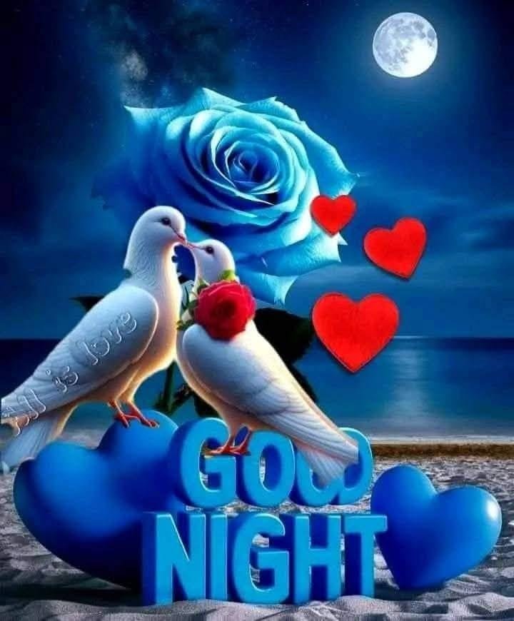 flower good night wishes images, flower good night images, good night flower images, good night flower wishes, good night flowers, flower good night photos, good night flower pictures, flower good night wallpapers, beautiful good night flowers, good night rose images
