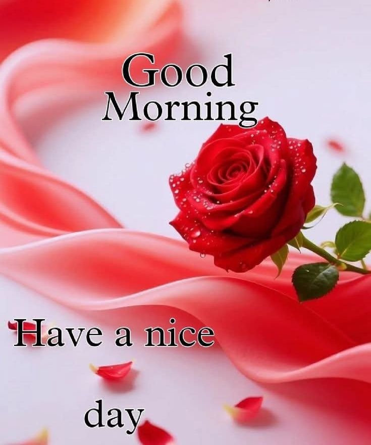 good morning garden flowers, garden flower good morning, good morning garden flower images, garden flower pictures, good morning flower images, garden flower wallpapers, beautiful good morning flowers, garden flower photos, morning flower pics, good morning nature images