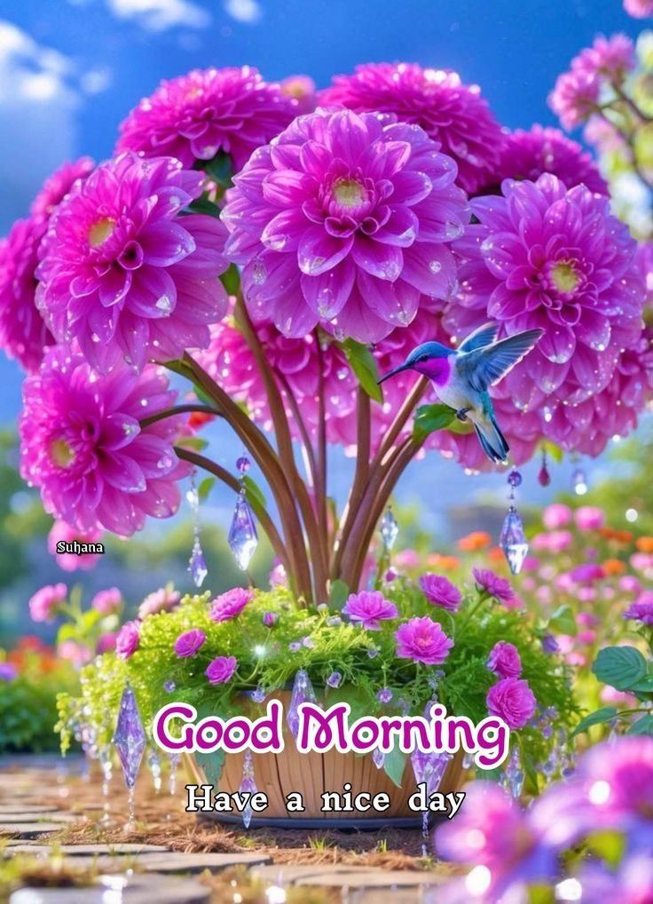 good morning garden flowers, garden flower good morning, good morning garden flower images, garden flower pictures, good morning flower images, garden flower wallpapers, beautiful good morning flowers, garden flower photos, morning flower pics, good morning nature images