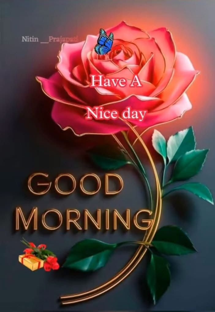 flower good morning images, beautiful good morning flowers, good morning flower photos, flower good morning pics, fresh flower good morning images, good morning wallpaper flowers, morning flower images, good morning rose images, good morning flower pictures, flower morning wishes