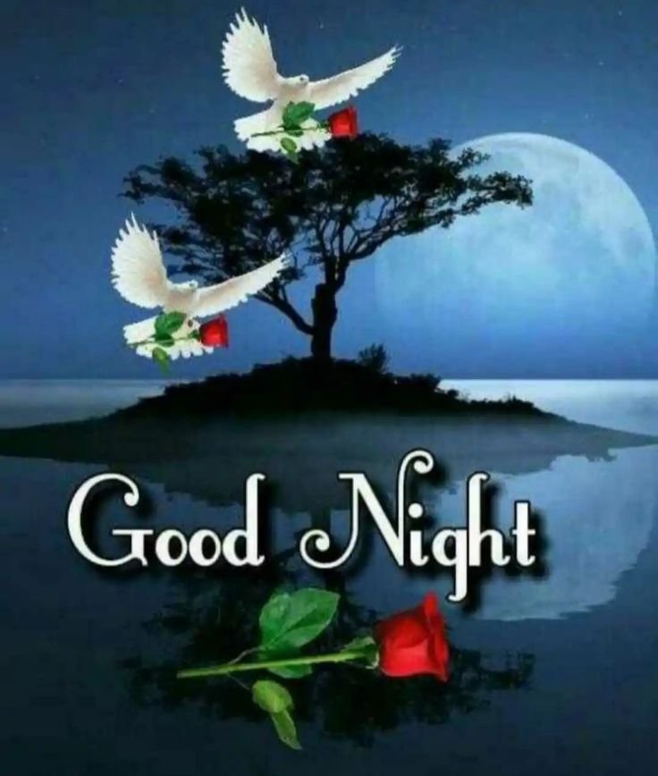 beautiful good night images, good night photos, good night pics, good night picture, good night dp, good night wallpapers, night images hd, cute good night images, romantic good night images, good night wishes images