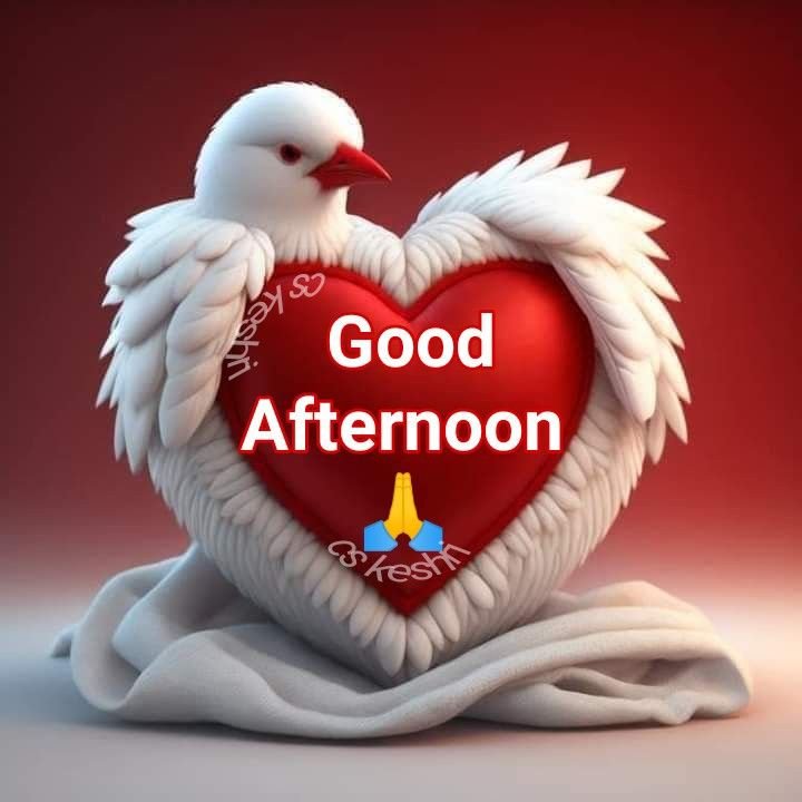 good evening images quotes, good evening photos, good evening pics, good evening wallpapers, evening quotes images, sunset good evening images, beautiful good evening pictures, good evening wishes photos, good evening hd wallpapers, evening greeting images