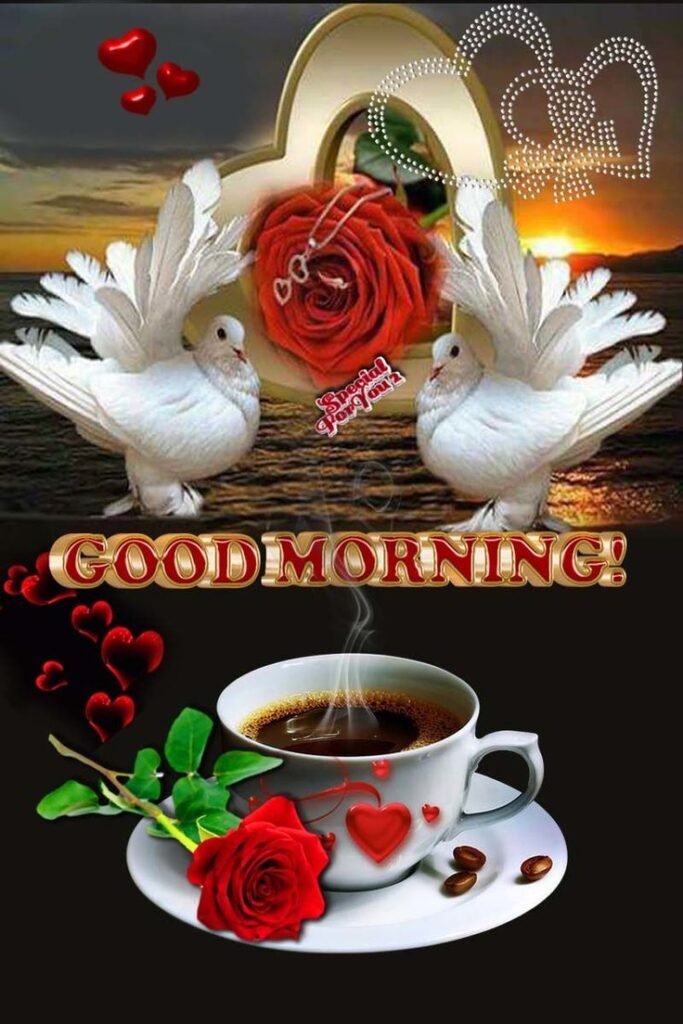 good morning images, good morning dp, good morning pictures, good morning photos, good morning pics, good morning wallpapers, morning dp images, beautiful good morning images, good morning wishes images, hd good morning wallpapers
