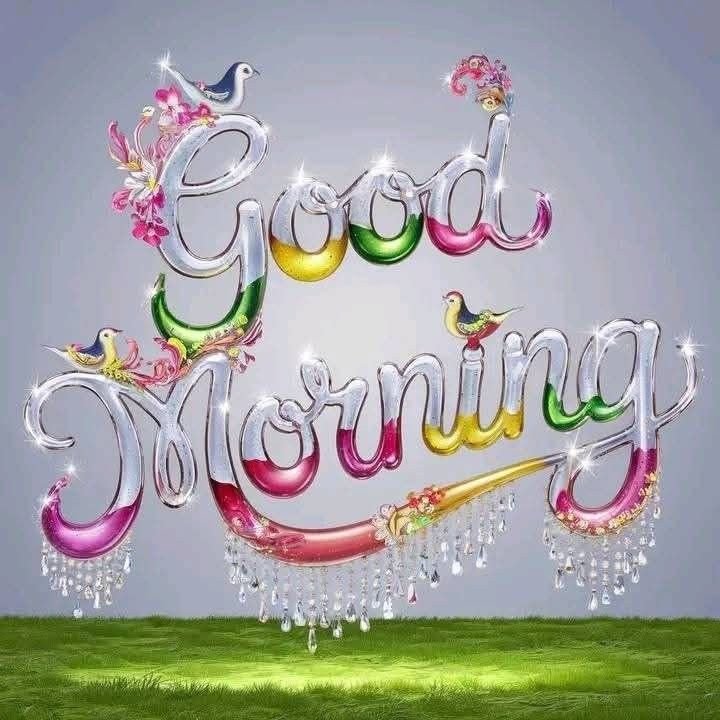 best good morning images, latest morning images, good morning images, good morning photos, good morning pics, morning wallpapers, beautiful good morning images, hd good morning images, good morning wishes images, morning pictures