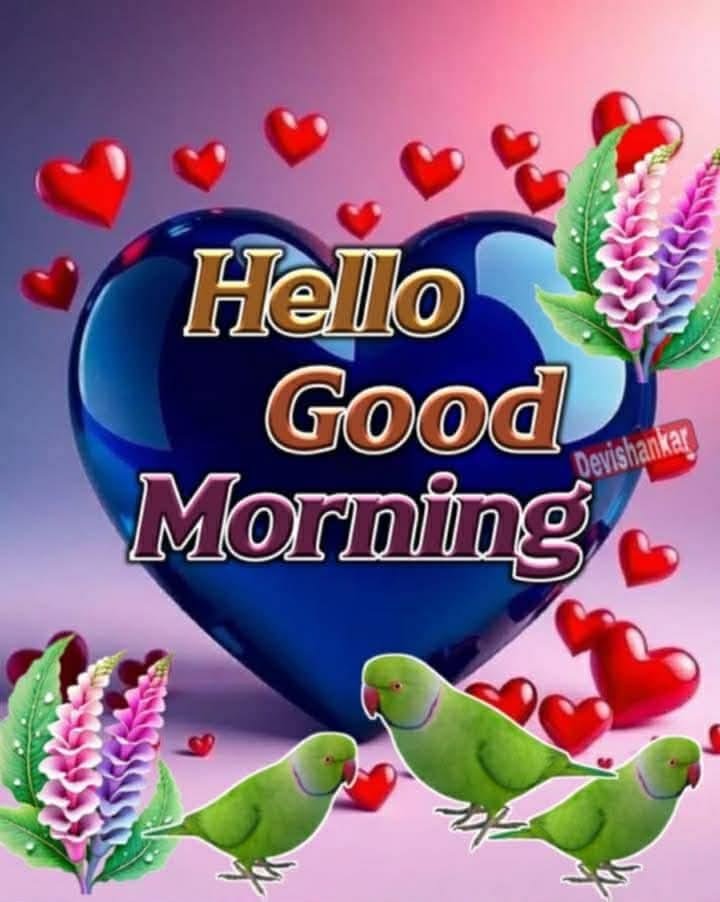 good morning king images, king good morning dp, good morning king photos, king morning pics, king wallpapers, royal good morning images, king profile picture, good morning attitude images, king dp, good morning wishes king