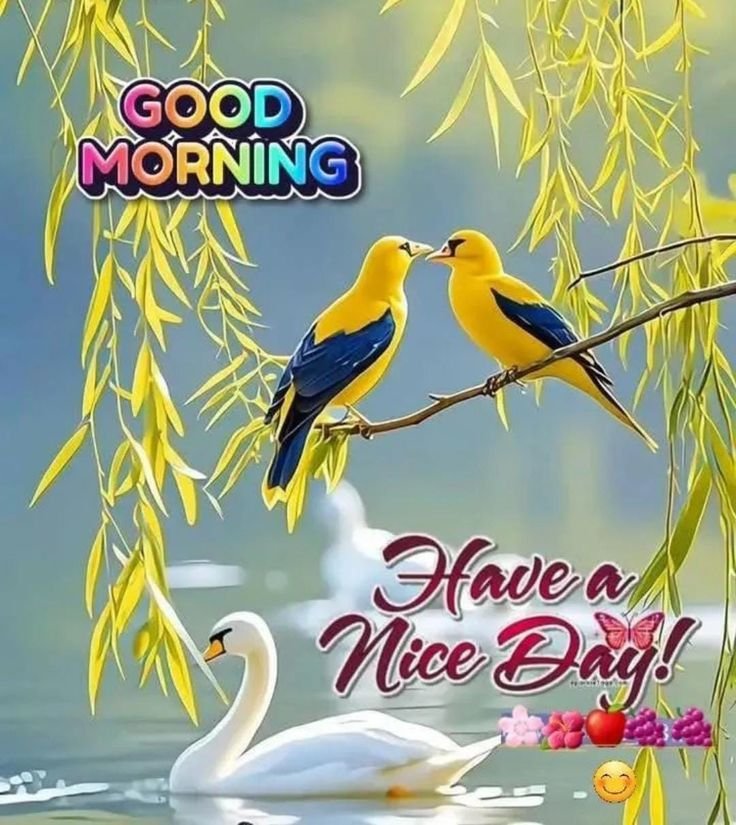 good morning garden flowers, garden flower good morning, good morning garden flower images, garden flower pictures, good morning flower images, garden flower wallpapers, beautiful good morning flowers, garden flower photos, morning flower pics, good morning nature images