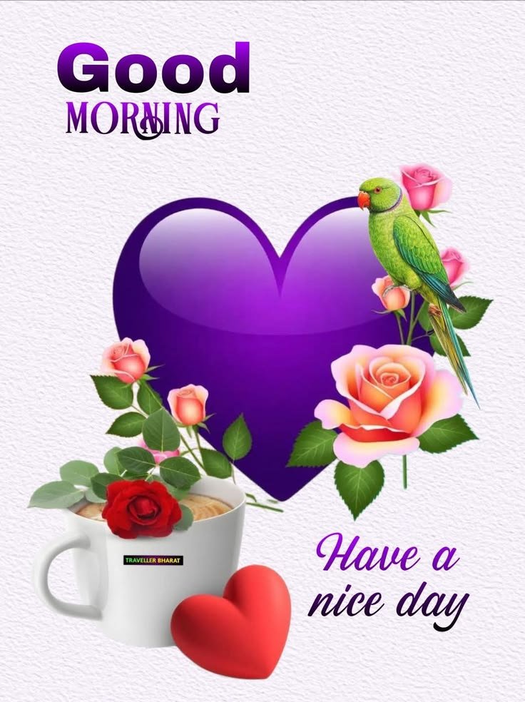 good morning red rose images, red rose good morning, good morning red rose, red rose pictures, good morning rose images, red rose wallpapers, beautiful good morning roses, red rose photos, morning rose pics, good morning flower images