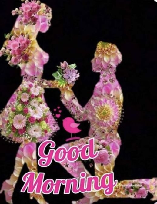 good morning i love you images, good morning love wishes, good morning love images, good morning romantic images, i love you good morning, good morning couple images, love dp, romantic good morning pics, good morning love wallpapers, good morning wishes for love