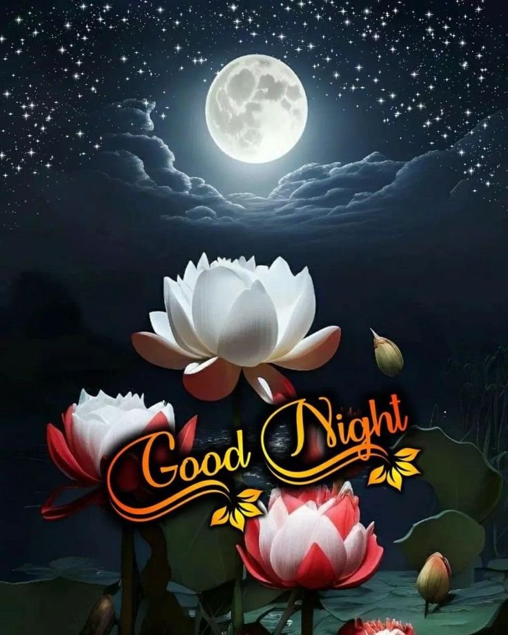 beautiful good night images, good night photos, good night pics, good night wallpapers, peaceful good night images, romantic good night pictures, cute good night images, night wishes photos, good night hd wallpapers, sweet good night images