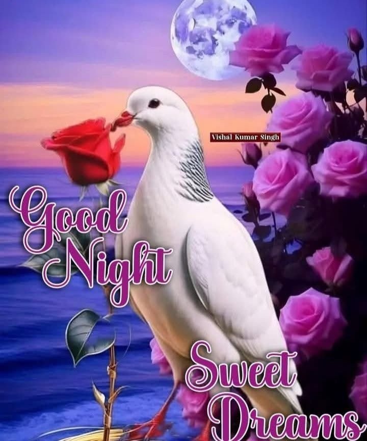 sweet good night images, good night gifs, sweet good night gifs, animated good night images, good night wishes images, good night photos, good night pictures, good night wallpapers, good night gif images, good night dp