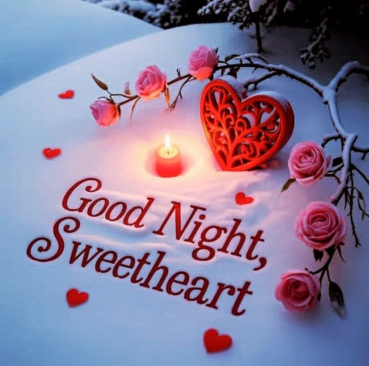 flower good night wishes images, flower good night images, good night flower images, good night flower wishes, good night flowers, flower good night photos, good night flower pictures, flower good night wallpapers, beautiful good night flowers, good night rose images